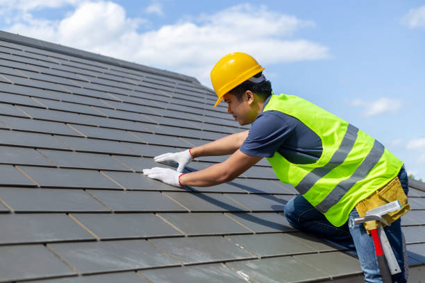 Roof Gutter Cleaning in Dallas, TX