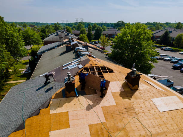 Roof Gutter Cleaning in Dallas, TX