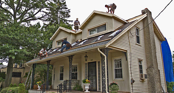 Best Roof Gutter Cleaning  in Dallas, TX